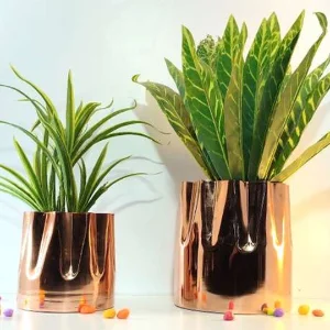 Allotrope Copper Metal Decorative Planter  ( 20 cm Height, 15 cm Height) – Decorative Indoor Planter for Home Décor & Gifting
