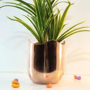 Allotrope Copper Metal Decorative Planter ( 15 cm Height, 13 cm Dimension) – Decorative Indoor Planter for Home Décor & Gifting