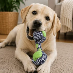 Dog Toys